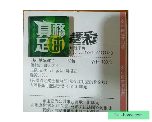 世界杯竞猜网站推荐与投注技巧分析助你精准预测赛事结果
